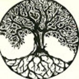 Meet your Posher, Carly